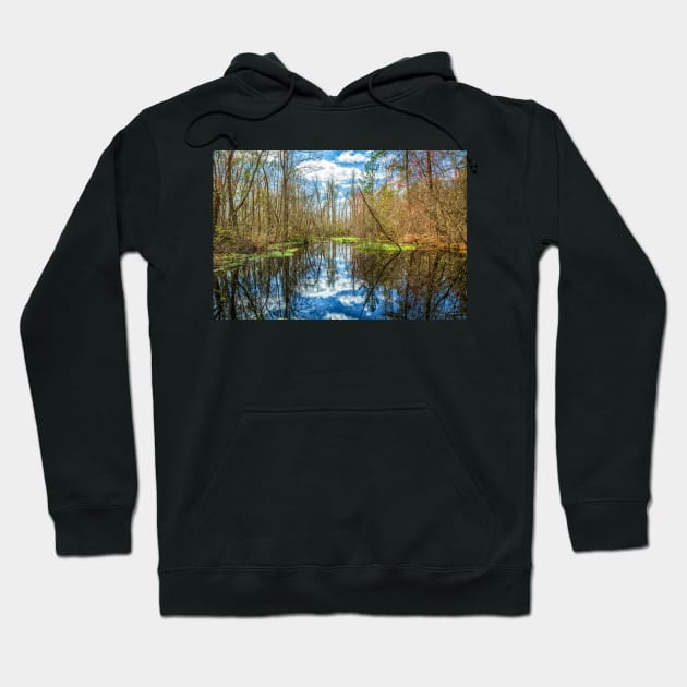 Swamp in Southeastern Georgia Hoodie by Gestalt Imagery